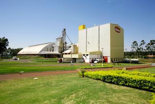 Em MS, 243 funcionários de frigoríficos já testaram positivo para coronavírus