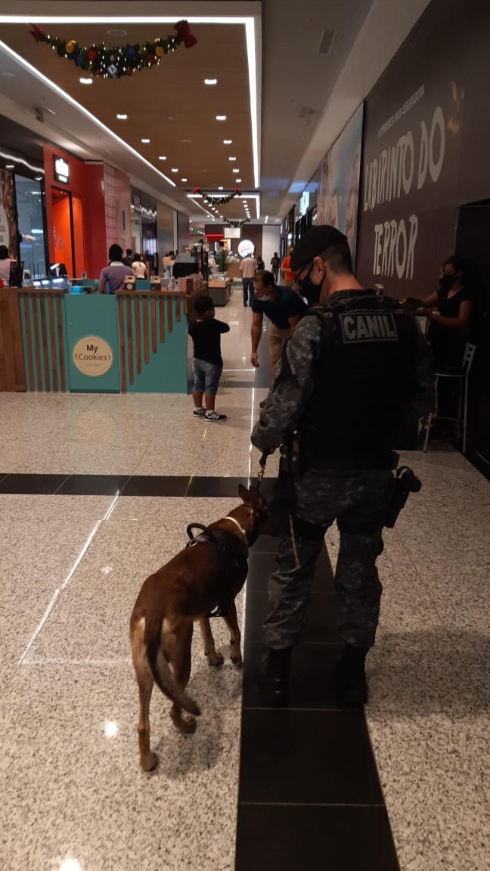 Polícia Militar atua com cães farejadores na Operação Boas Festas em Três Lagoas