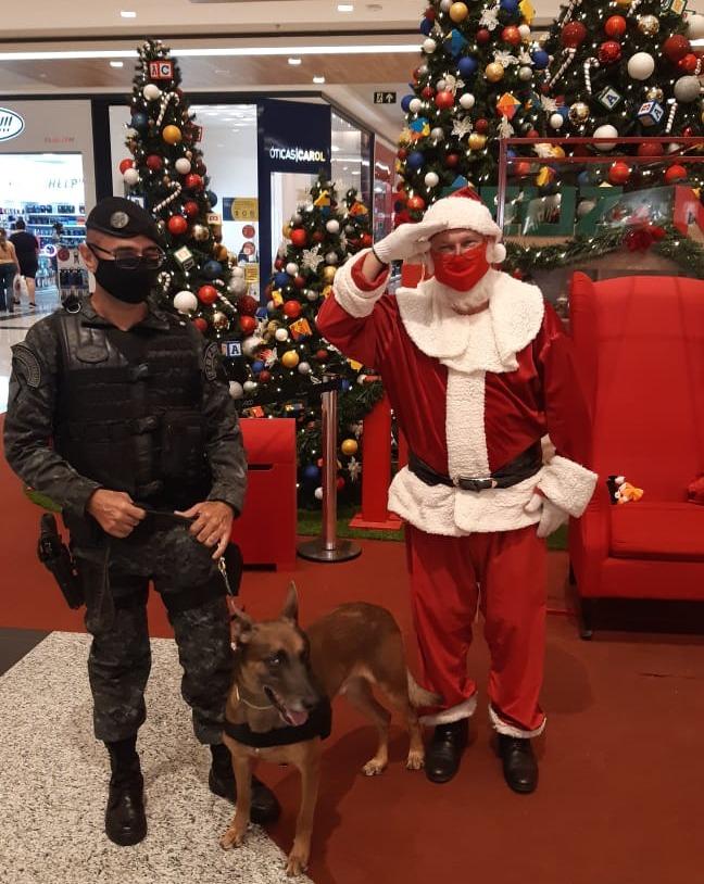 Polícia Militar atua com cães farejadores na Operação Boas Festas em Três Lagoas