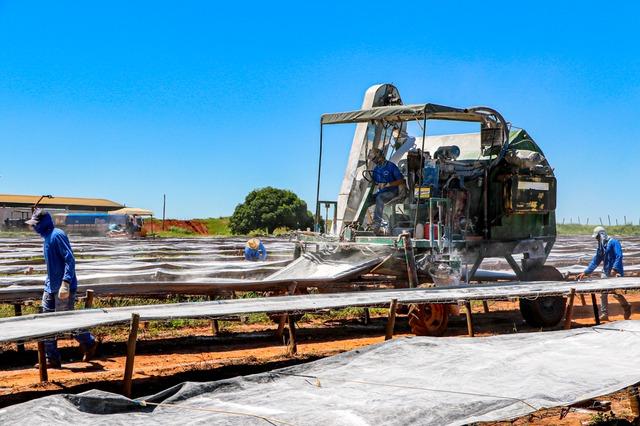 Secretário de Meio Ambiente realiza visitas técnicas