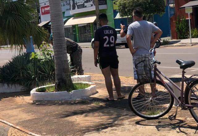 Cobra Cipó é capturada em canteiro central da avenida Antônio Trajano Cobra Cipó é capturada em canteiro central da avenida Antônio Trajano