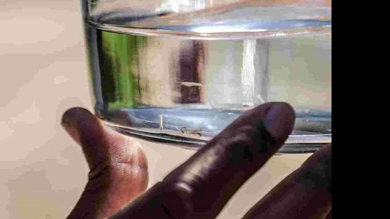 Com mais de 400 novos casos em sete dias, MS tem 2,4 mil confirmações de dengue Com mais de 400 novos casos em sete dias, MS tem 2,4 mil confirmações de dengue