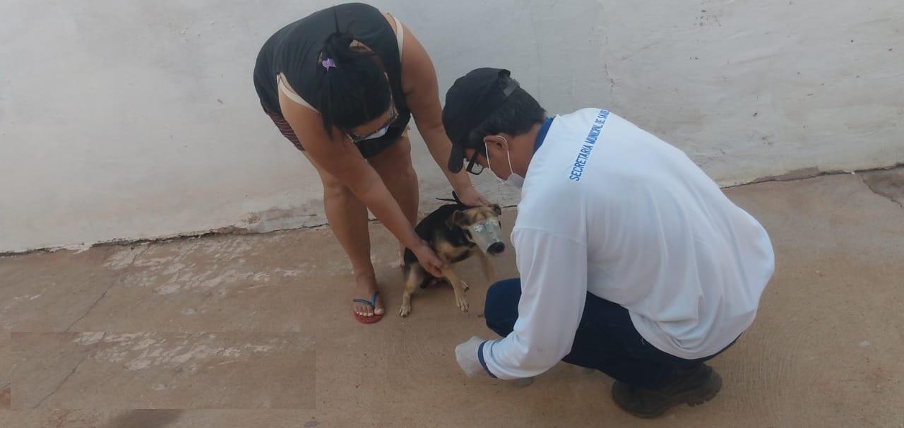 Devido caso positivo de leishmaniose, Zoonoses realiza bloqueio canino na Vila Alegre Devido caso positivo de leishmaniose, Zoonoses realiza bloqueio canino na Vila Alegre