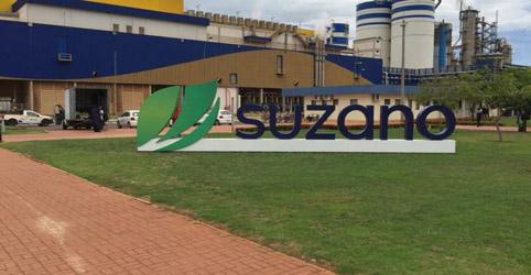 Suzano disponibiliza portal para pré-cadastro de fornecedores do Projeto Cerrado