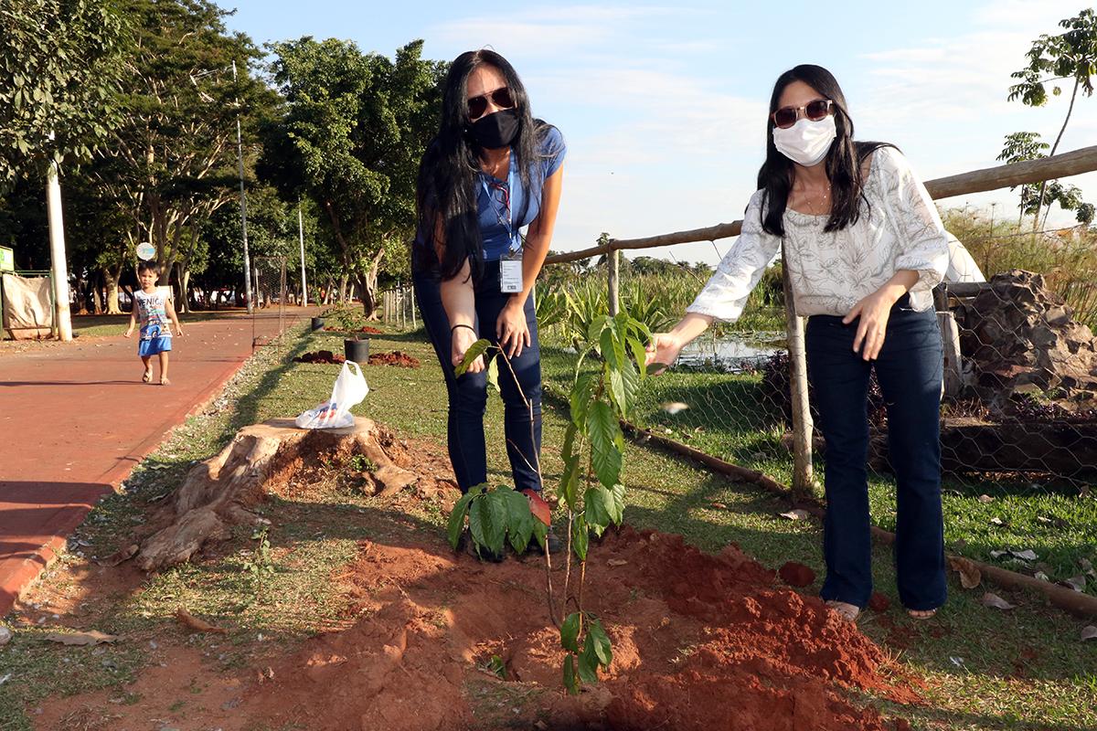 Meio Ambiente realiza plantio de cerejeiras na Lagoa Maior em homenagem ao Dia da Imigração Japonesa Meio Ambiente realiza plantio de cerejeiras na Lagoa Maior em homenagem ao Dia da Imigração Japonesa
