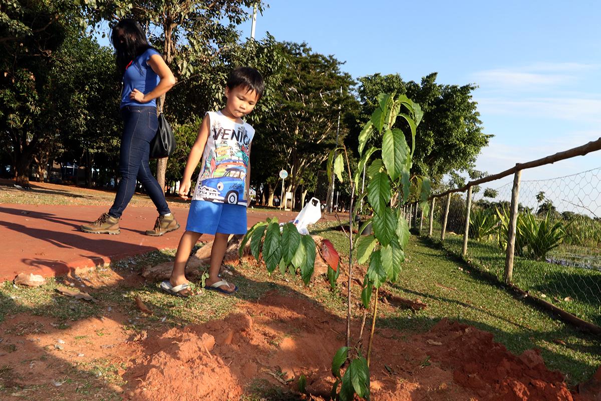 Meio Ambiente realiza plantio de cerejeiras na Lagoa Maior em homenagem ao Dia da Imigração Japonesa Meio Ambiente realiza plantio de cerejeiras na Lagoa Maior em homenagem ao Dia da Imigração Japonesa
