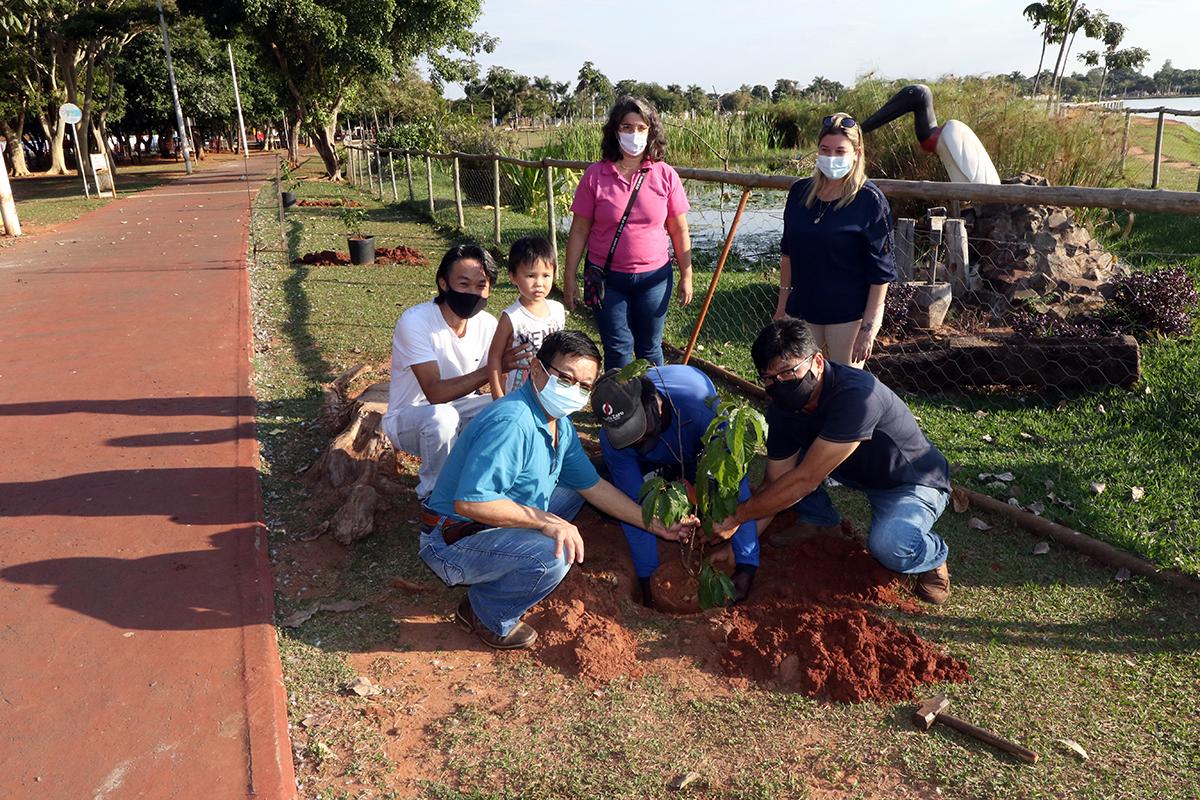 Meio Ambiente realiza plantio de cerejeiras na Lagoa Maior em homenagem ao Dia da Imigração Japonesa Meio Ambiente realiza plantio de cerejeiras na Lagoa Maior em homenagem ao Dia da Imigração Japonesa