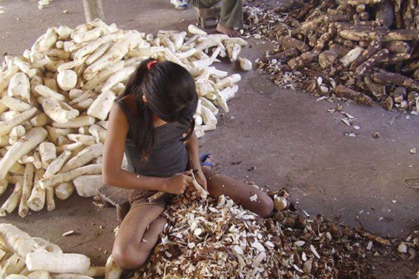 MPT e parceiros intensificam esforços pela eliminação do Trabalho Infantil MPT e parceiros intensificam esforços pela eliminação do Trabalho Infantil