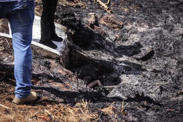 Corpos encontrados em matagal incendiado são de casal esquartejado em Campo Grande Corpos encontrados em matagal incendiado são de casal esquartejado em Campo Grande