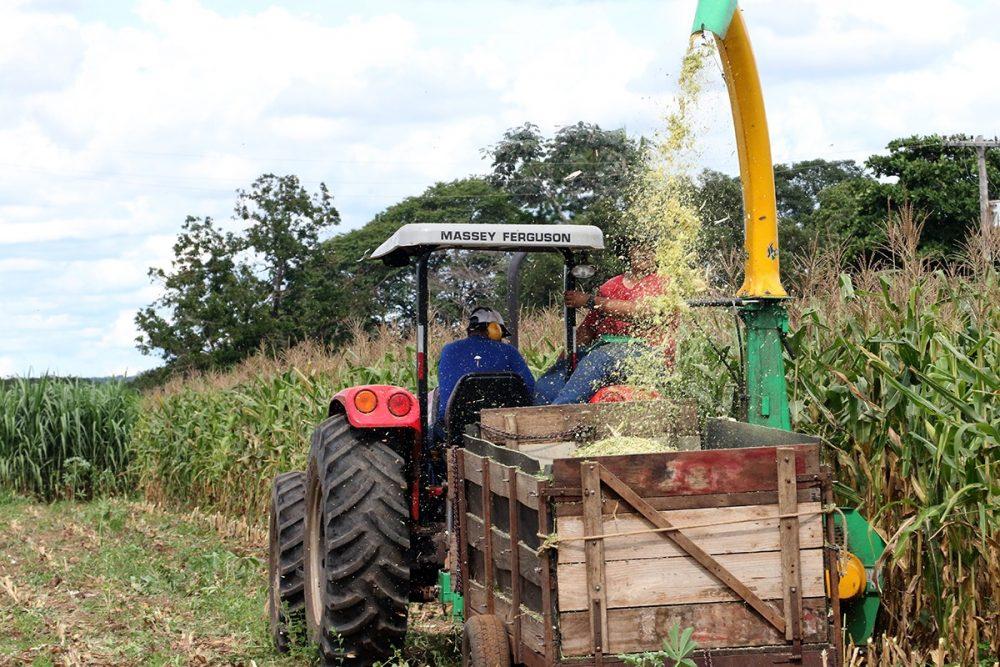 Projeto Rural Sustentável - Cerrado cadastra produtores rurais em Três Lagoas