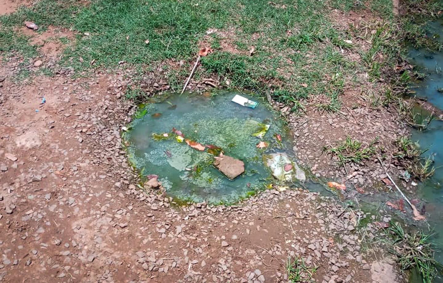 Devido alto índice de Dengue, endemias realiza mutirão de limpeza no bairro Jupiá Devido alto índice de Dengue, endemias realiza mutirão de limpeza no bairro Jupiá