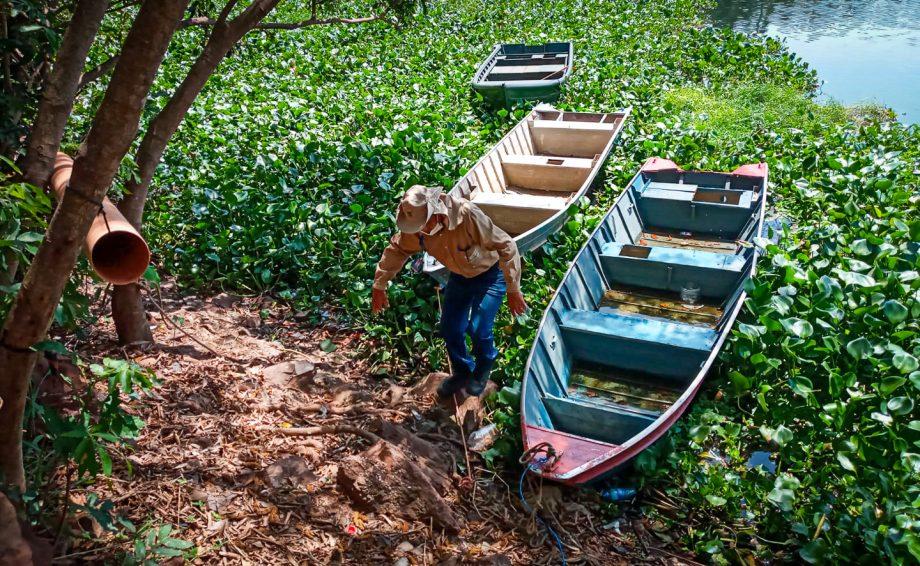 Devido alto índice de Dengue, endemias realiza mutirão de limpeza no bairro Jupiá Devido alto índice de Dengue, endemias realiza mutirão de limpeza no bairro Jupiá