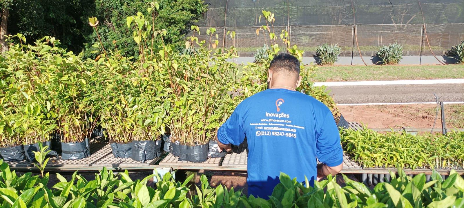 CESP doa mais de 26 mil mudas nativas da Mata Atlântica para restauração de Corredores de Biodiversidade do Rio Paraná