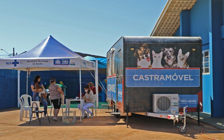 CASTRAMÓVEL – Serviço gratuito da Prefeitura já castrou 6.402 animais em quatro anos de atendimento