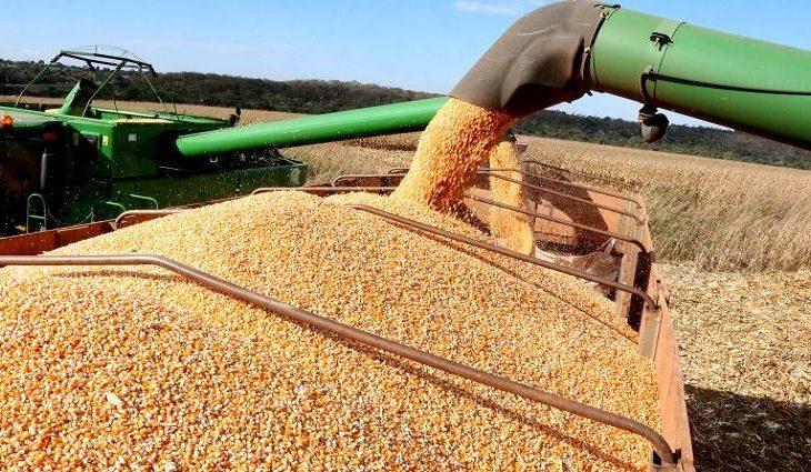 MS pode registrar novo recorde de área plantada e produtividade da soja safra 2022/2023 MS pode registrar novo recorde de área plantada e produtividade da soja safra 2022/2023