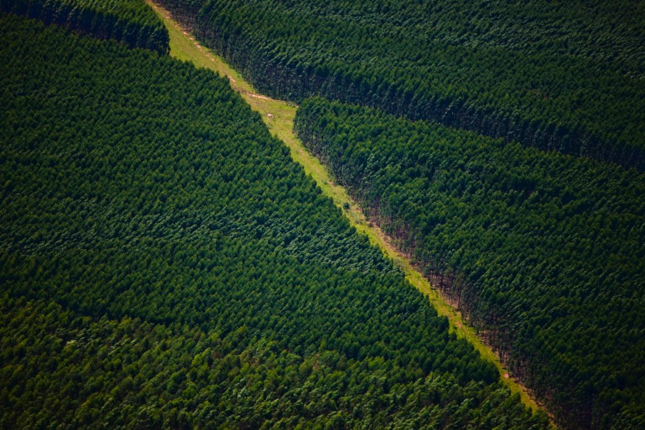 Suzano abre cadastro para pessoas com deficiência  em Água Clara, Brasilândia e Três Lagoas