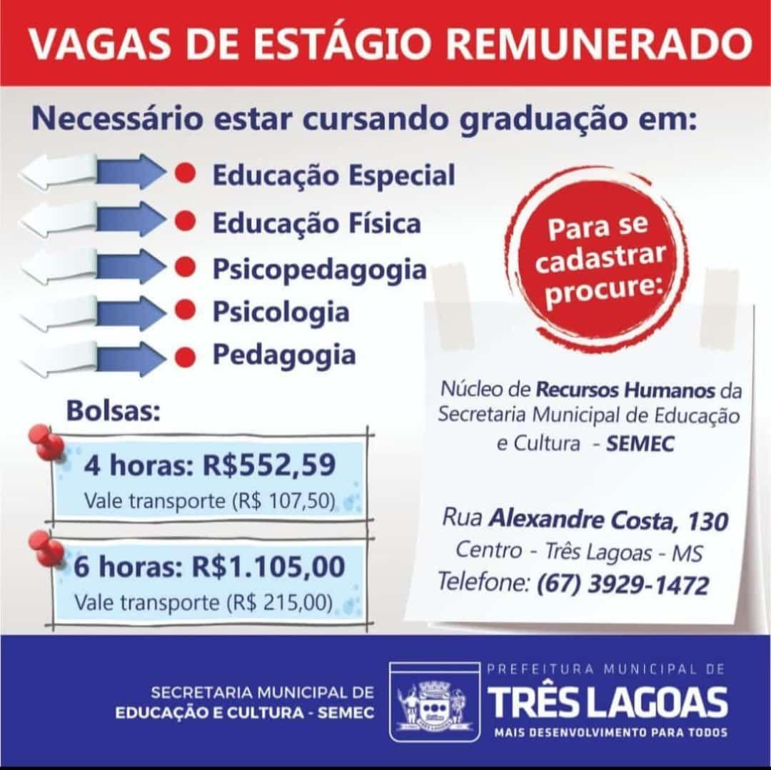 SEMEC está com vagas de estágio abertas. Veja como se candidatar