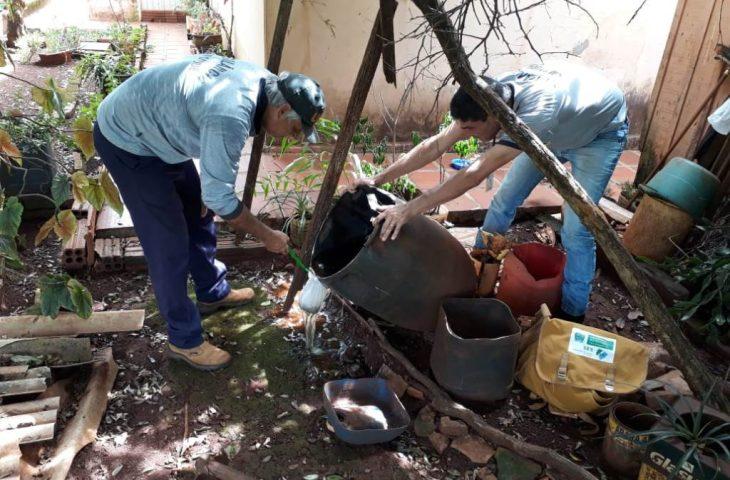 MS registra 4.517 casos confirmados de dengue em novo boletim MS registra 4.517 casos confirmados de dengue em novo boletim