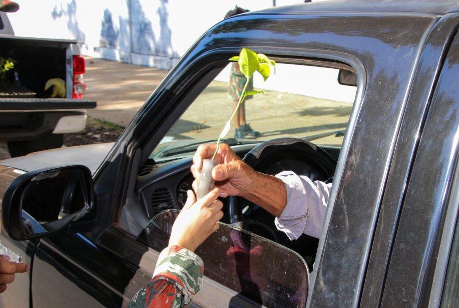 SEMEA segue com ações alusivas à Semana do Meio Ambiente com palestras, dinâmicas e entrega de mudas SEMEA segue com ações alusivas à Semana do Meio Ambiente com palestras, dinâmicas e entrega de mudas