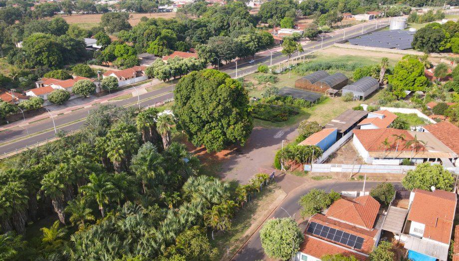 Viveiro Municipal vai abrir em horário especial durante o mês de setembro para doação de mudas