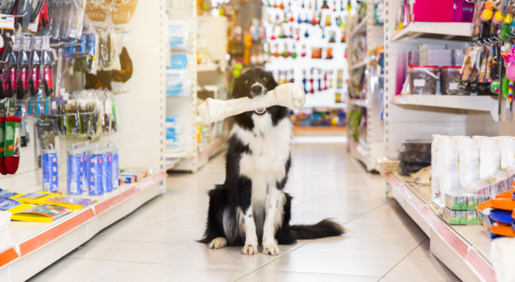 PROCON divulga pesquisa de preços de produtos para pets