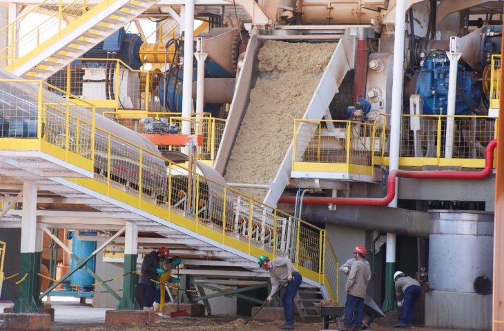 Mato Grosso do Sul alia crescimento econômico e inclusão social para melhorar a vida das pessoas