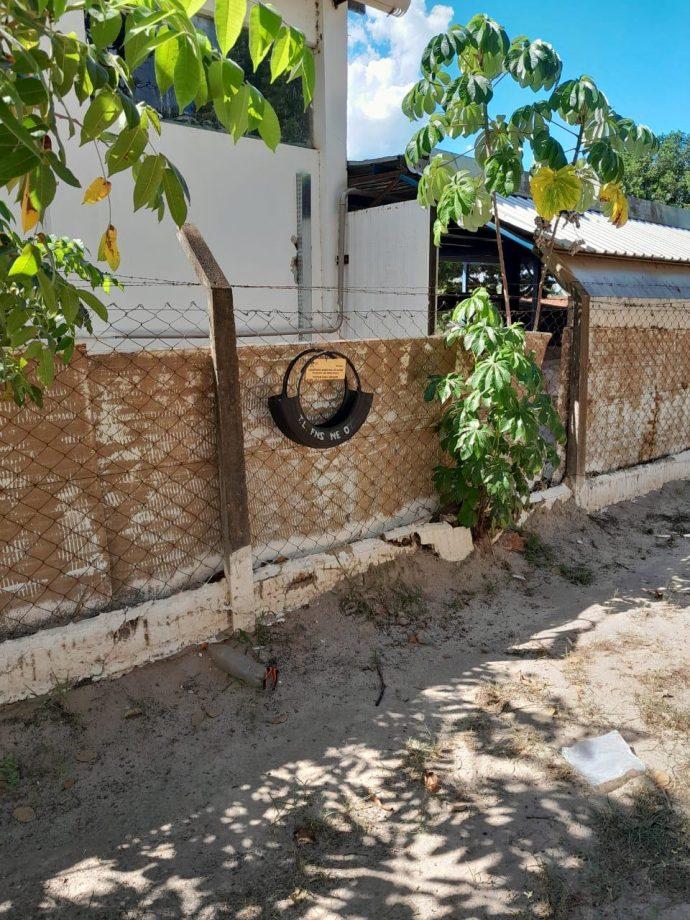 Armadilhas contra mosquito da dengue ajudam Prefeitura a mapear áreas de risco e intensificar combate em Três Lagoas