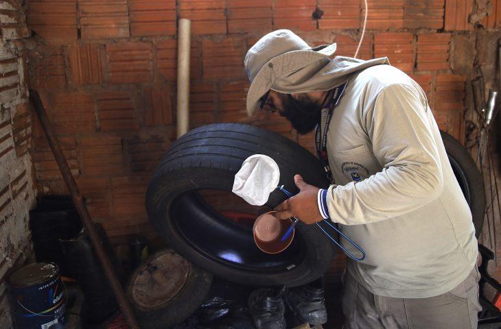 Chikungunya já soma mais de 12 mil casos e 21 mortes em Mato Grosso do Sul