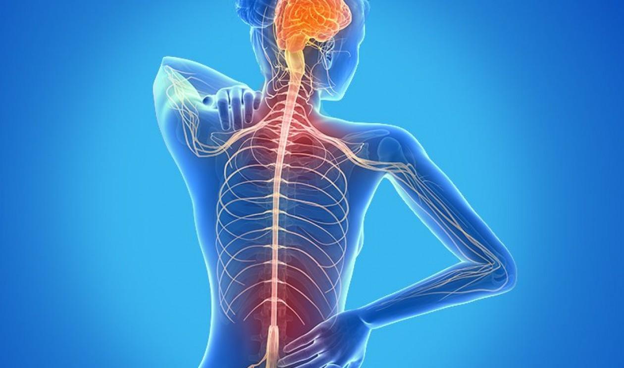 Diagnóstico precoce ajuda a controlar a esclerose múltipla
