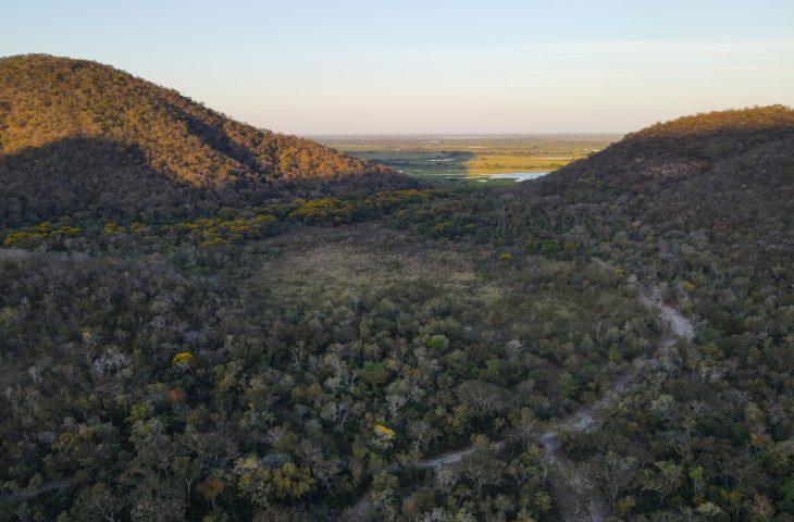 Governo de MS amplia incentivo à preservação no Pantanal e investe em propriedades rurais sustentáveis