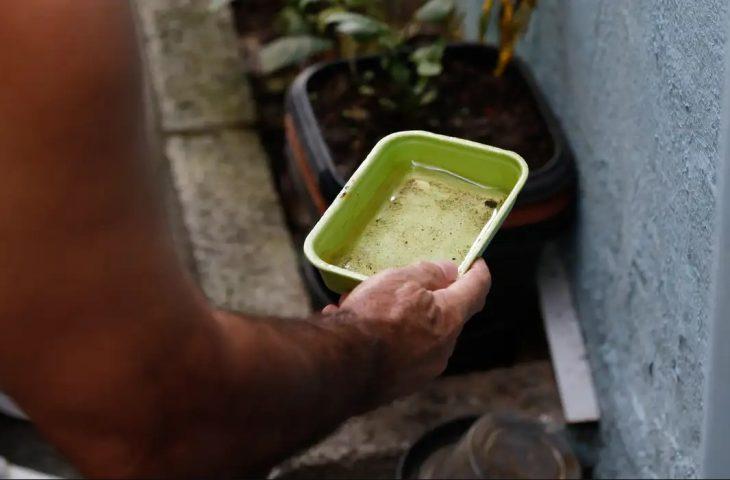 LIRAa de maio orienta ações de prevenção às arboviroses em Mato Grosso do Sul