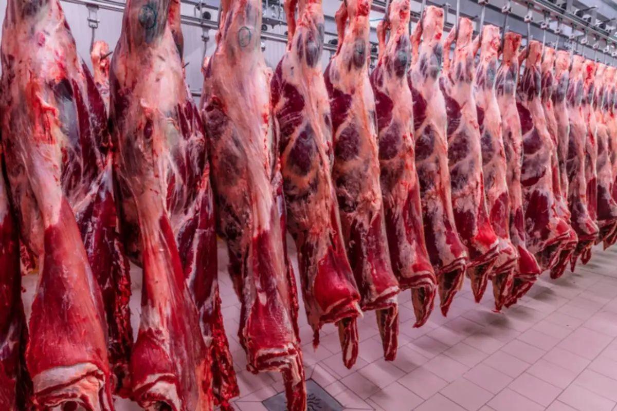 Carne bovina fica fora do tarifaço dos EUA e pecuaristas de MS respiram aliviados