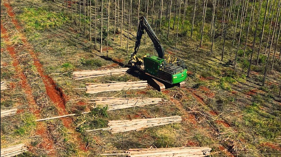 Arauco abre inscrições para qualificação de operadores e mecânicos de máquinas florestais em seis cidades de MS