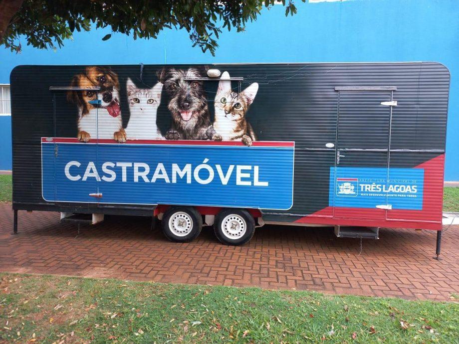 Castramóvel segue no Interlagos com castração gratuita e serviços de saúde para cães e gatos