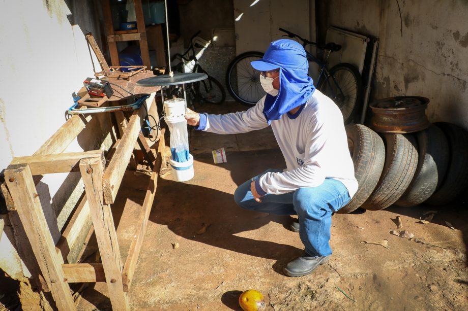 Prefeitura de Três Lagoas mantém trabalho permanente de vigilância, prevenção e controle da leishmaniose visceral