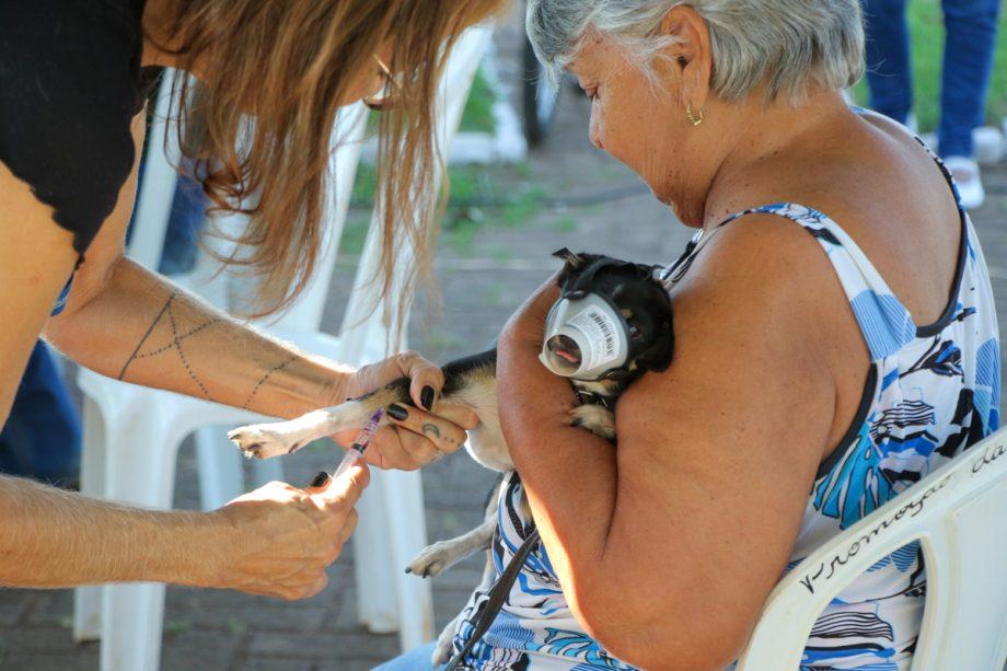 Três Lagoas realiza Dia D contra a Leishmaniose com vacinação e testes em animais