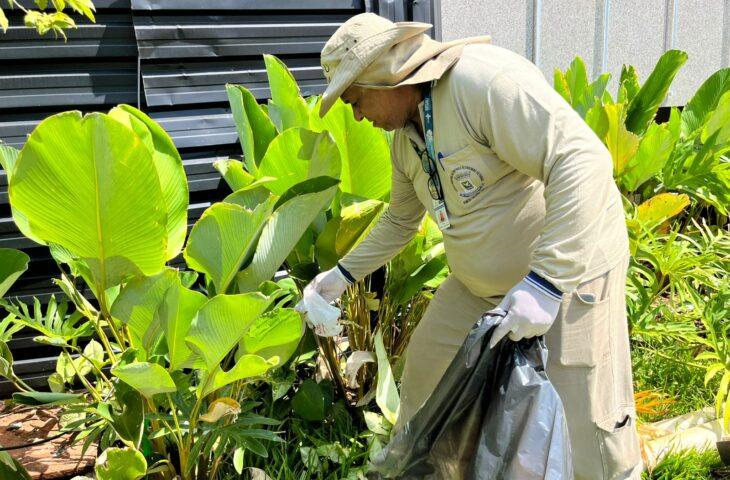 MS registra 10,6 mil casos confirmados de chikungunya neste ano