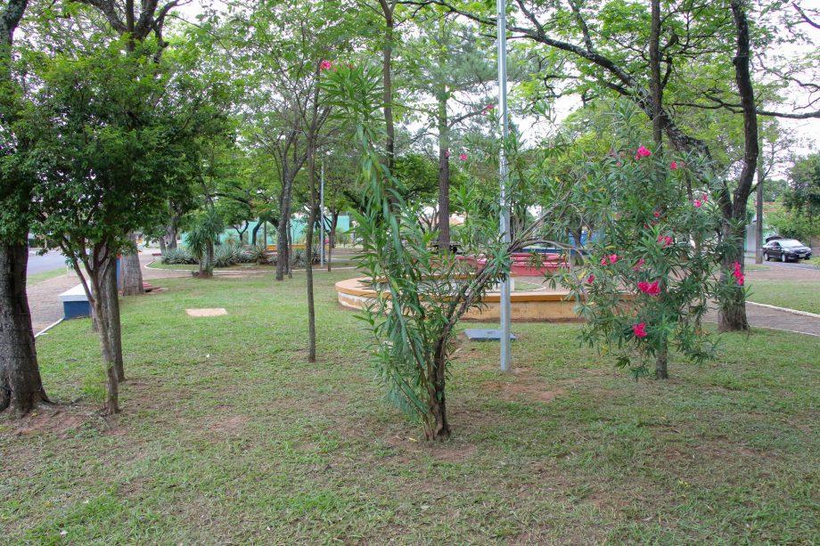Prefeitura de Três Lagoas intensifica limpeza de áreas verdes e atende 22 espaços públicos em outubro