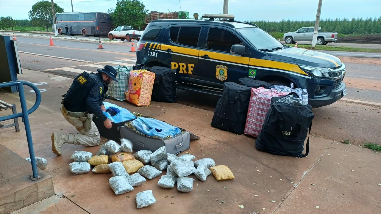 PRF apreende 253 quilos de folhas de coca e haxixe em ônibus na BR-262 em Três Lagoas