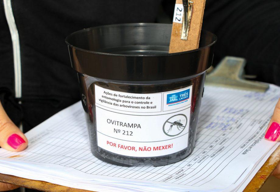 Três Lagoas registra mais de 12 mil ovos de Aedes aegypti coletados em ovitrampas