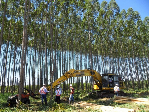 Fibria realiza aula inaugural do Programa de Qualificação Profissional