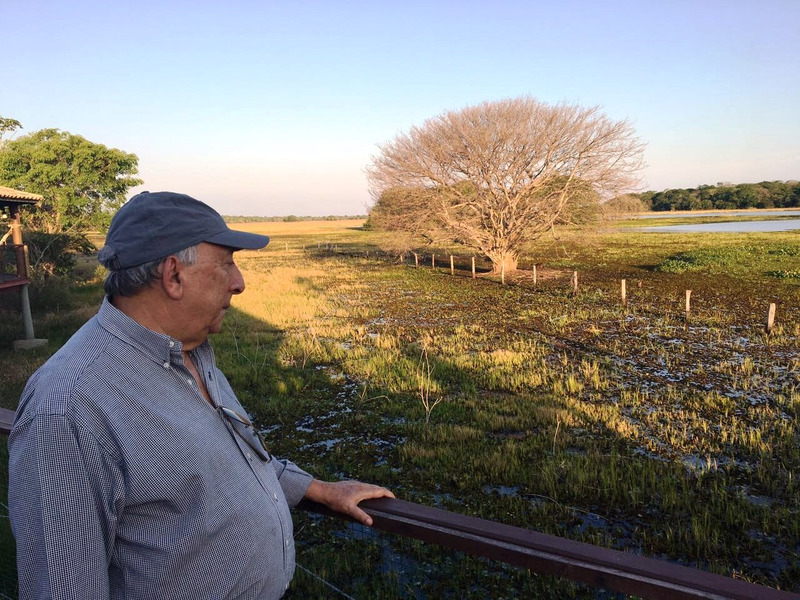 Pedro Chaves é o relator de projeto que define regras para gestão e proteção do Pantanal Pedro Chaves é o relator de projeto que define regras para gestão e proteção do Pantanal