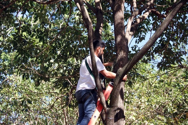 Lagoa Maior recebe 120 vasos com orquídeas retiradas de reserva ambiental Lagoa Maior recebe 120 vasos com orquídeas retiradas de reserva ambiental