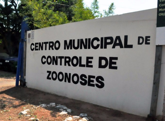 Justiça mantém condenação por matança de animais no CCZ de Três Lagoas