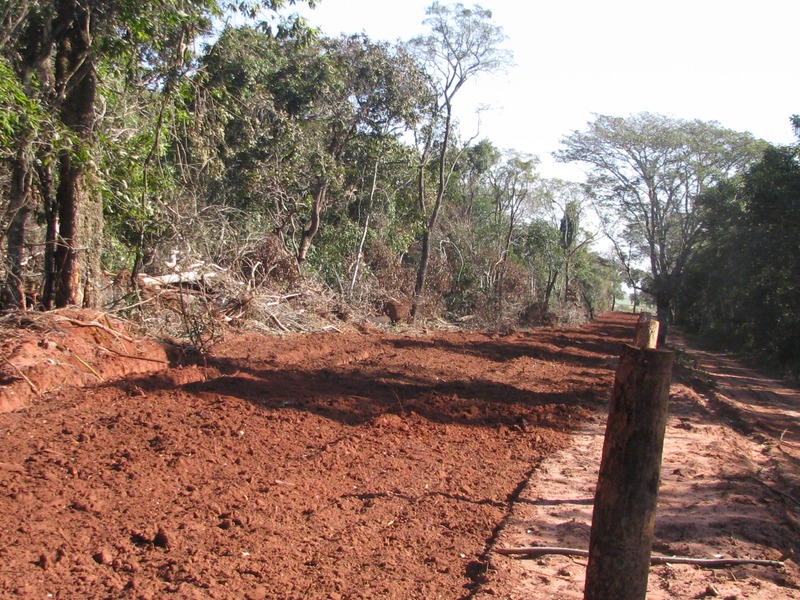 Operação Cachorro-Vinagre constata 4,2 mil hectares de desmatamentos ilegais