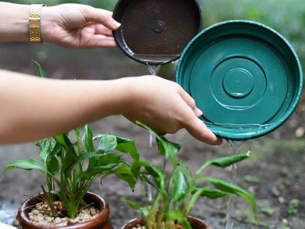 Mutirão contra o Aedes Aegypti é realizado pela Prefeitura de Brasilândia