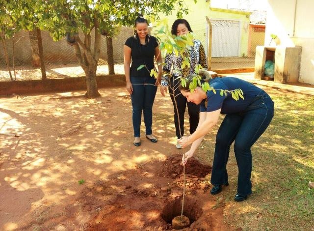 Assistência Social planta árvores em parceria com Meio Ambiente