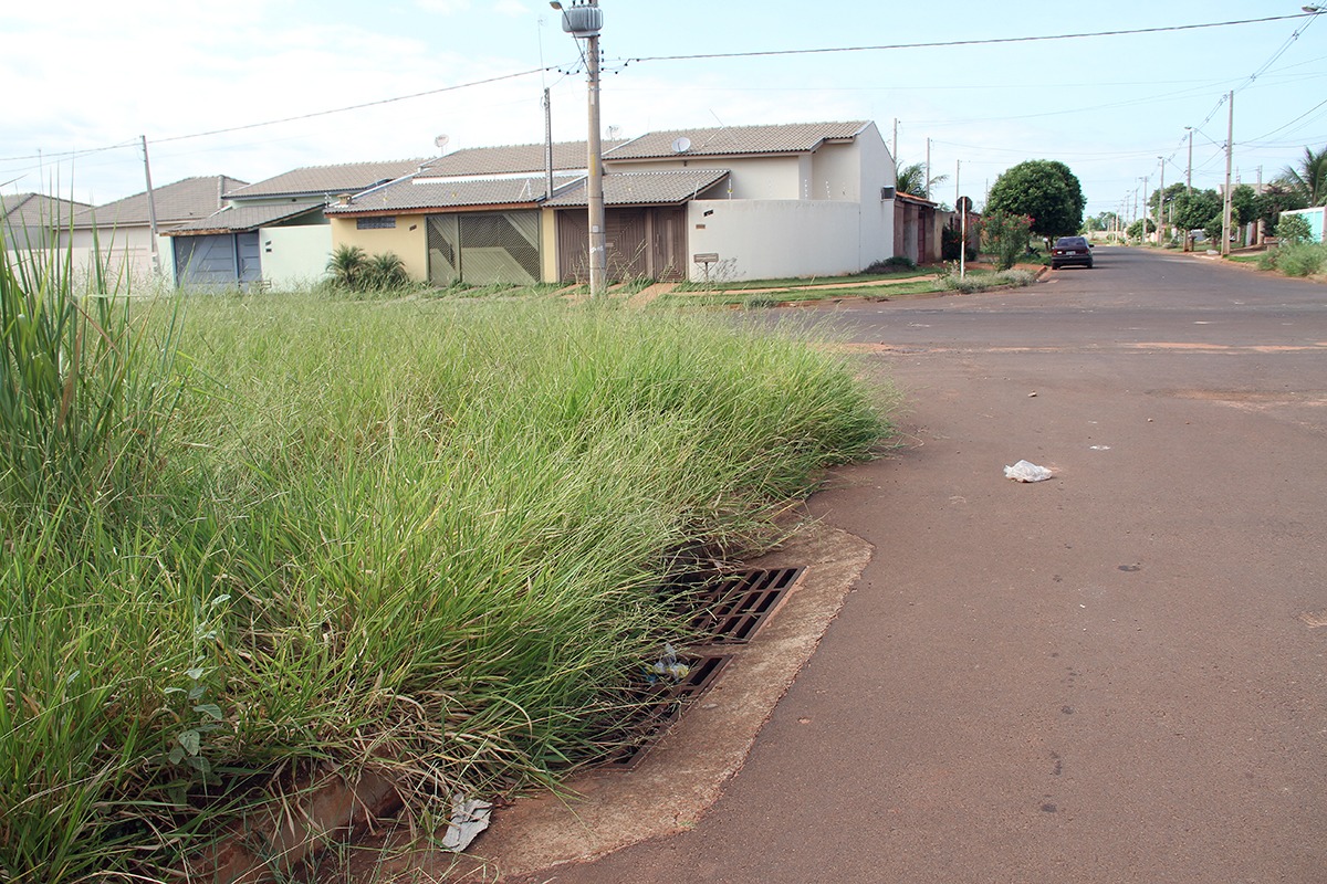 Prefeitura sanciona nova lei sobre limpeza e manutenção de imóveis urbanos