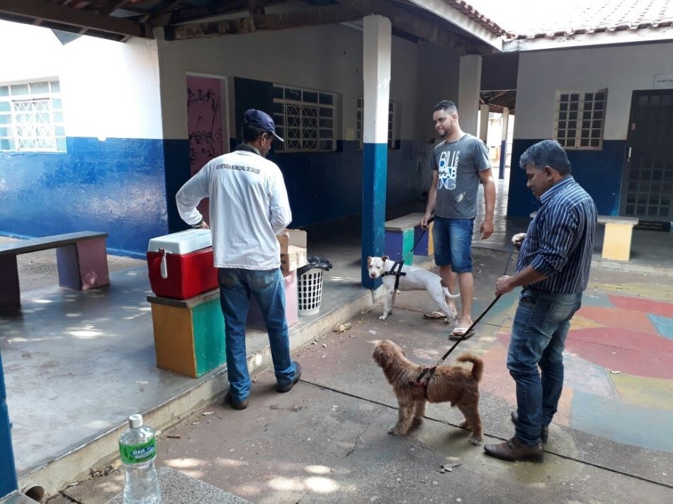 Vacinação antirrábica termina no sábado em oito locais da Cidade Vacinação antirrábica termina no sábado em oito locais da Cidade