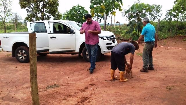 Equipes da Saúde imunizam cães e gatos de casa em casa